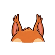 019