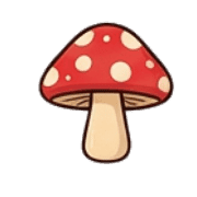 019