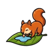 005