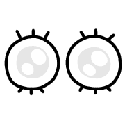 003