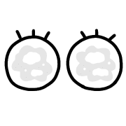 009