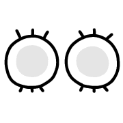 013