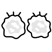 016