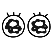 009