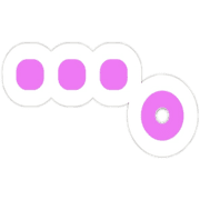 037