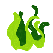 005