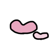 025