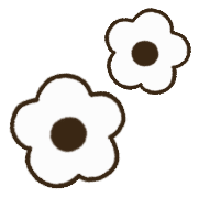 029