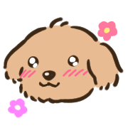 010