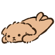 019