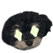 008