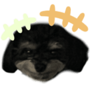 025