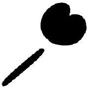 020