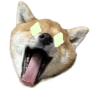 002