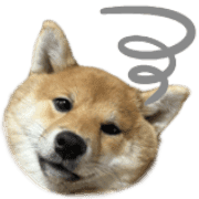 006