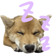 013