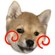020