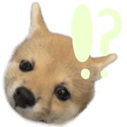021