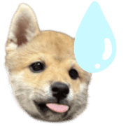 032
