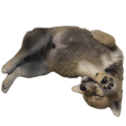 038