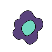 032