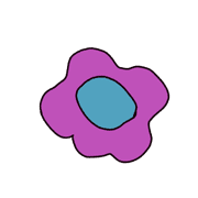 033