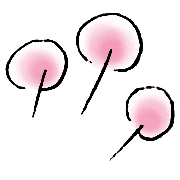 031