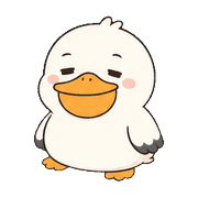 019