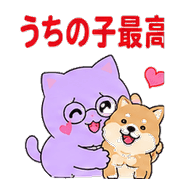 003