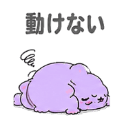 004