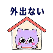010