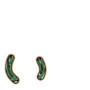 048