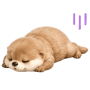 031
