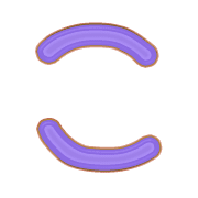 010