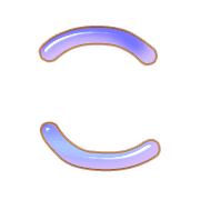 010