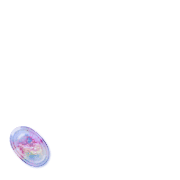 256
