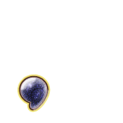 245
