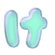 009