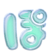 080
