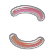 010