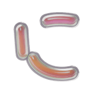 022