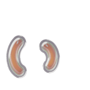 048