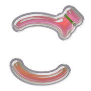 060