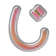 062
