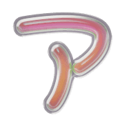 081