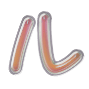 121