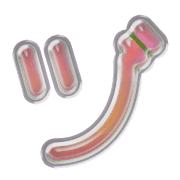 148