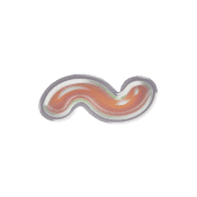 224