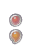 243