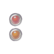 244